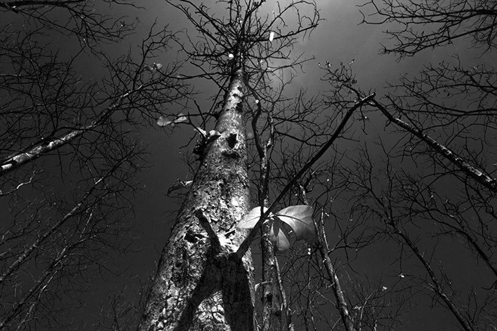 Photograph by Ages ragil