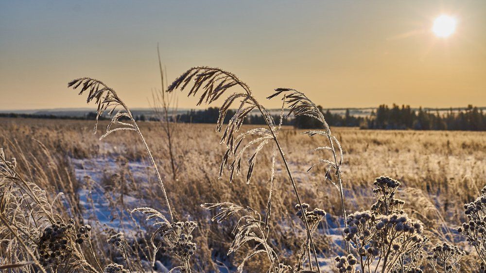 Морозное утро
