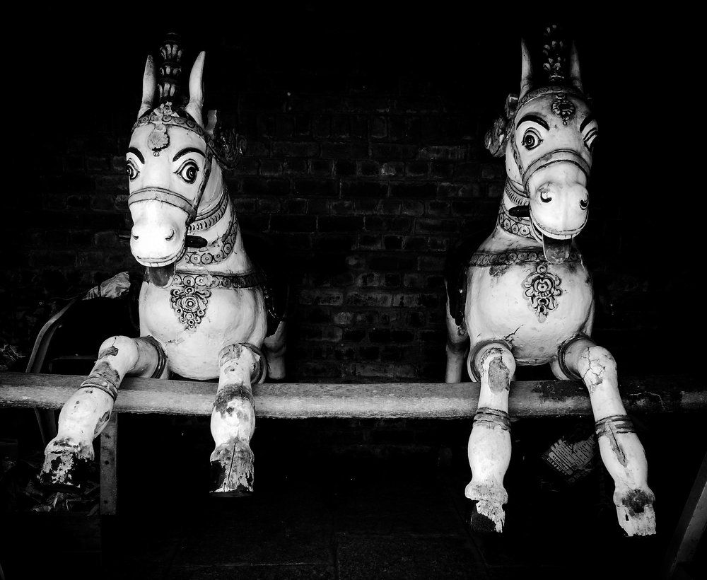 Holy horses