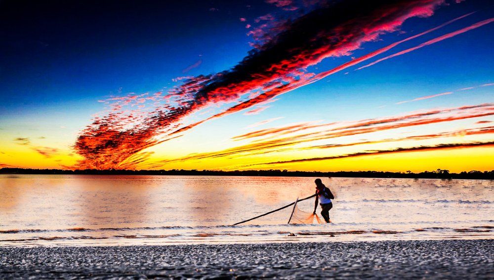 Fisherman searching fish with her net