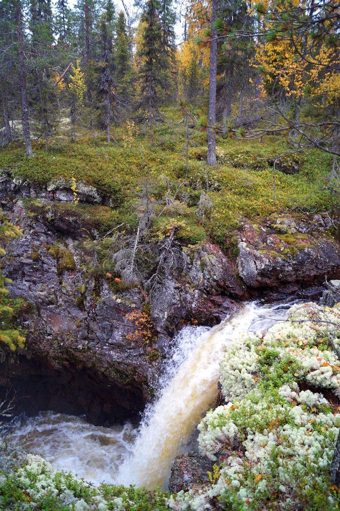 Photograph by Анастасия