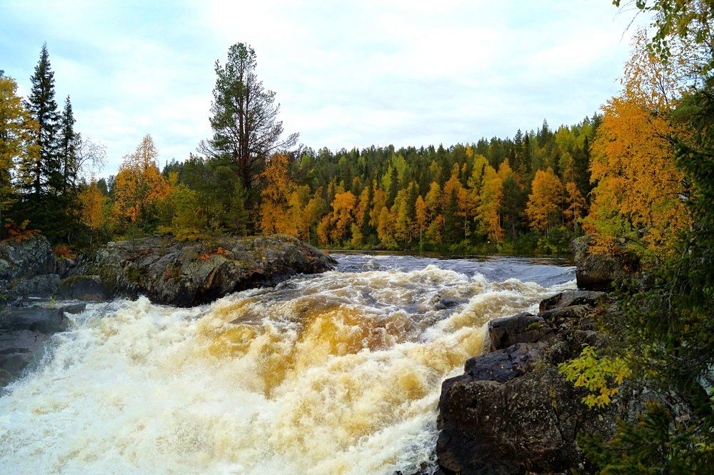 Photograph by Анастасия