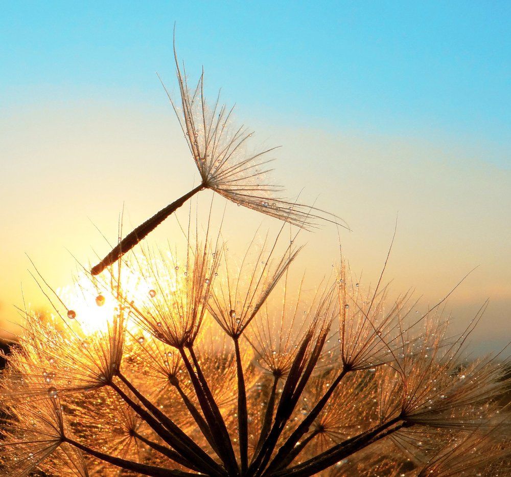 Золотой закат