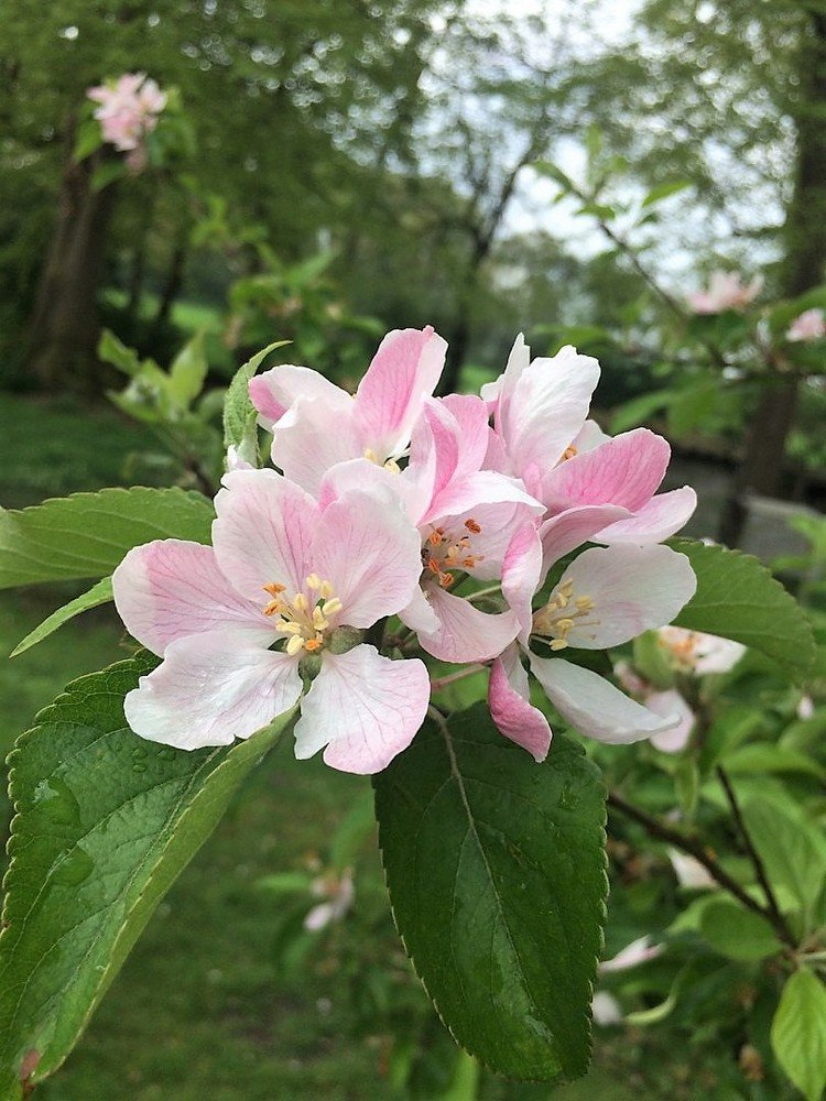 Photograph by Марина