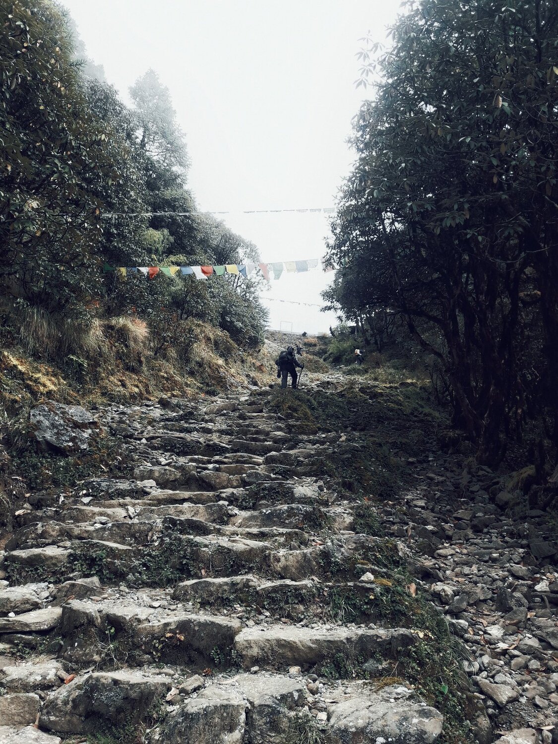 stairway to heaven