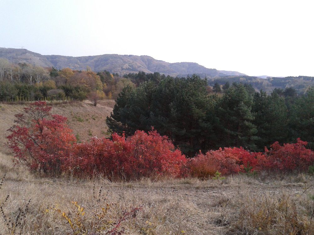 Разноцветная осень