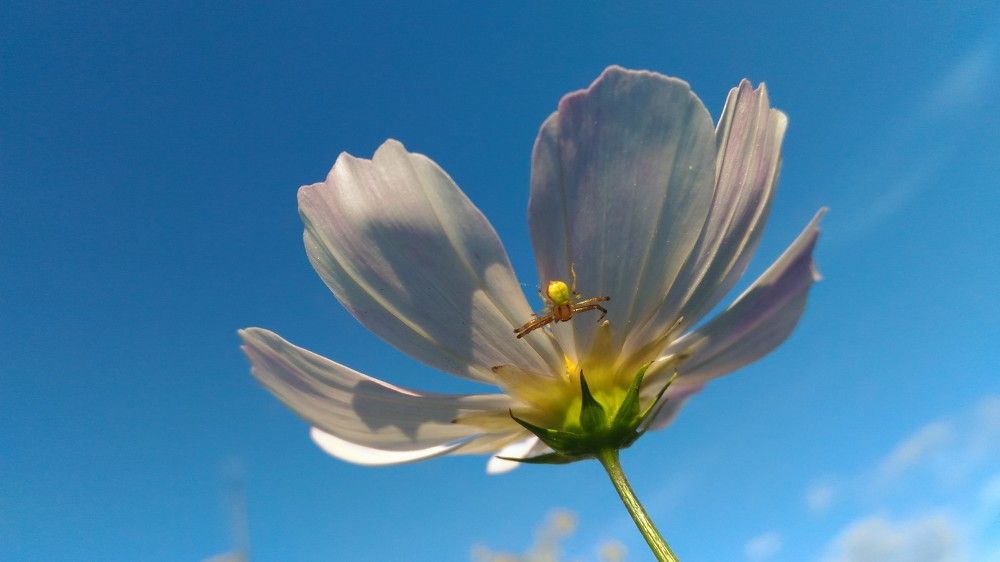 Маленький мир.