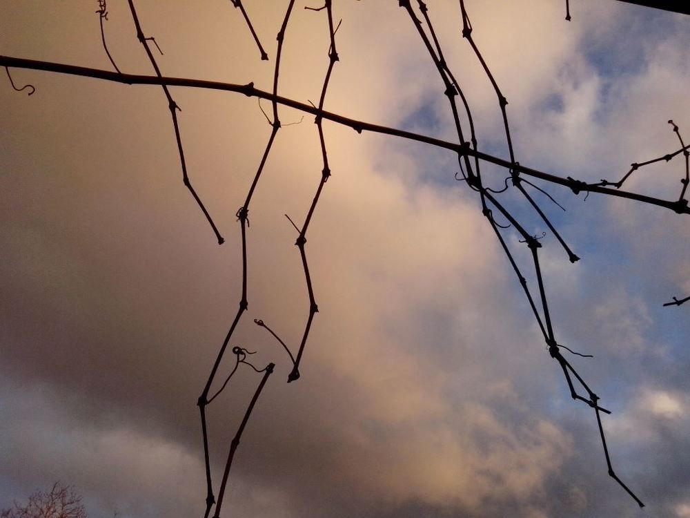 Вечернее небо