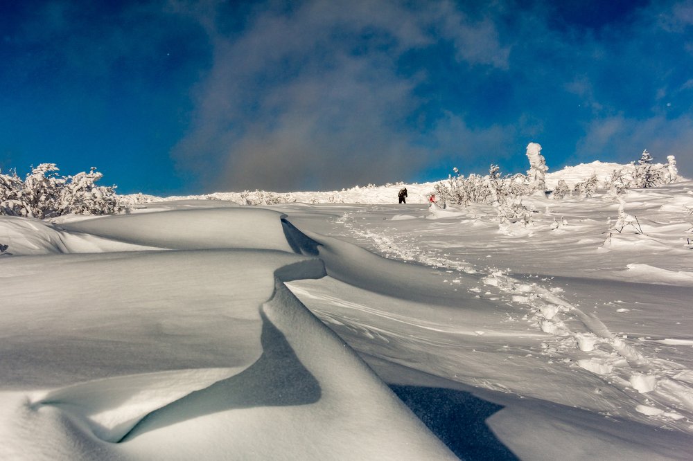 Путь к вершине