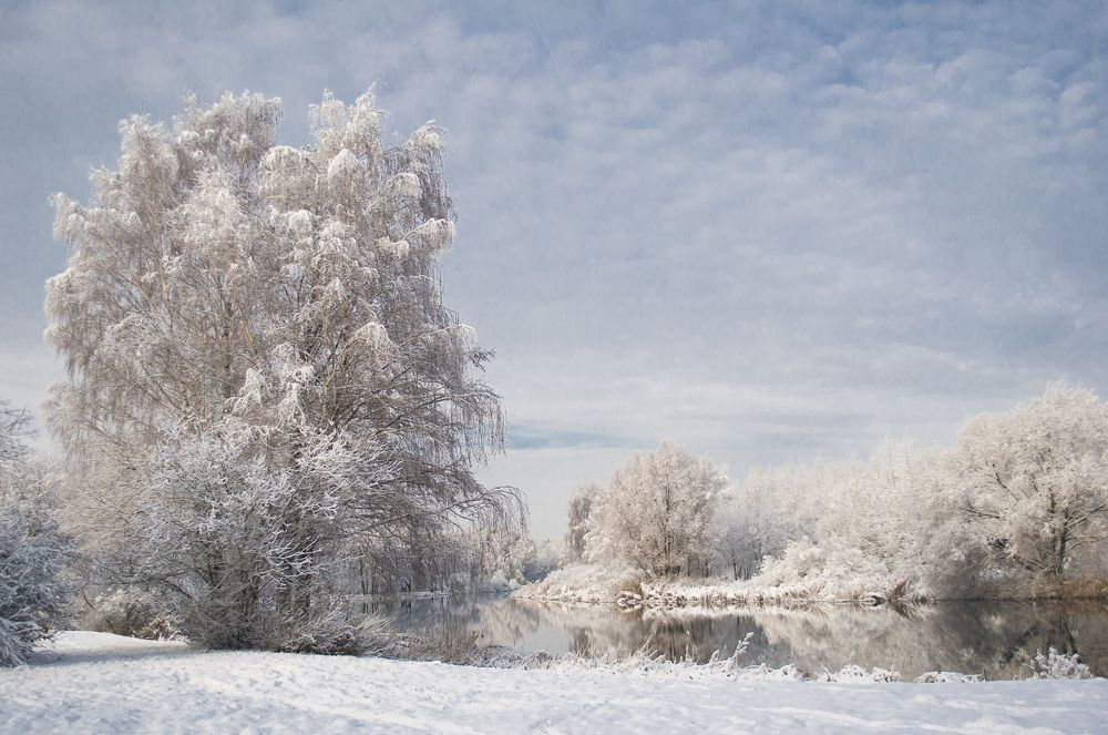 Зимняя сказка.