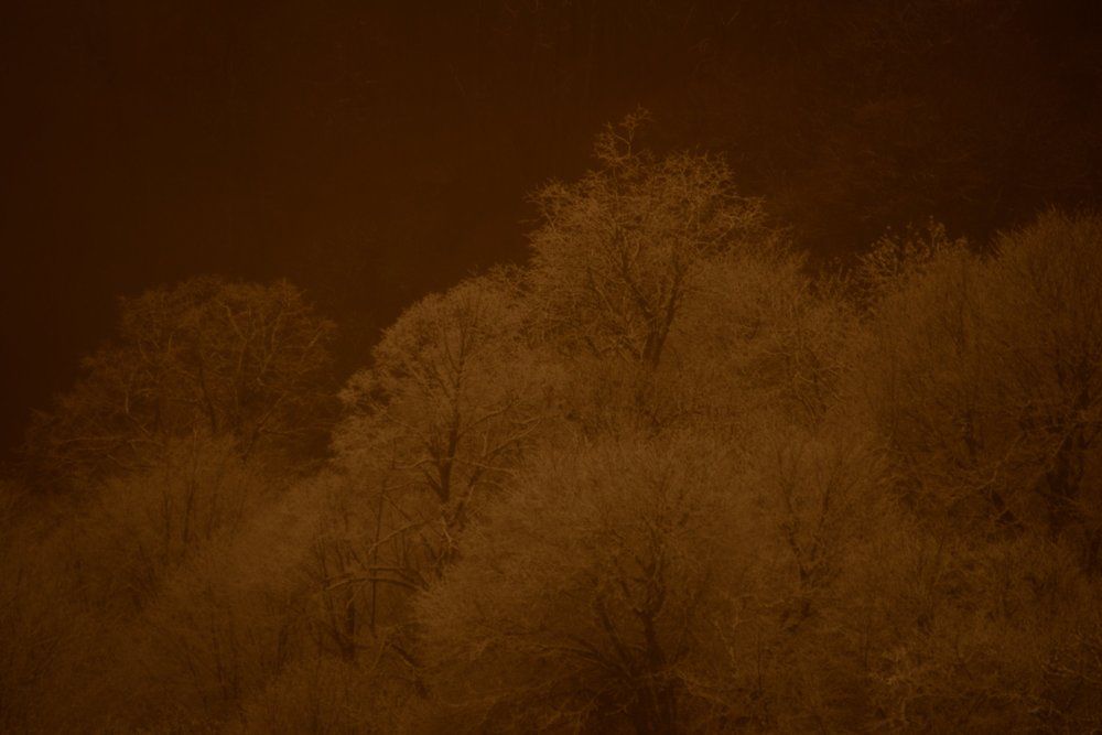 Иней в выцветших тонах