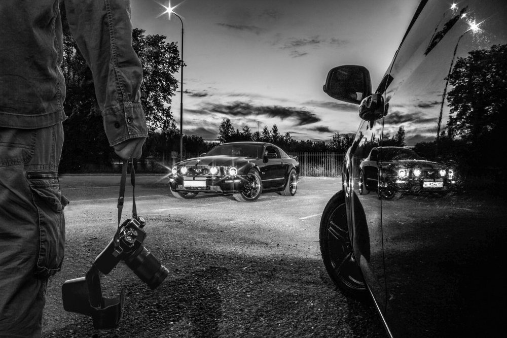 загнанный зверь / cornered