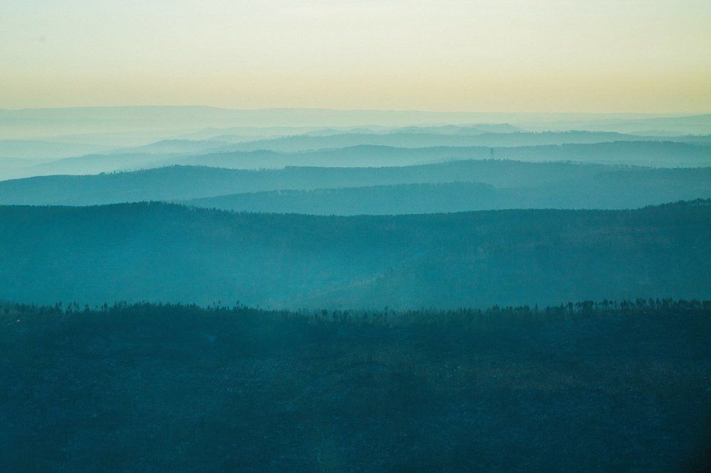 Зеленое море тайги