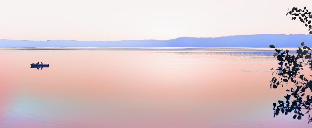 Розовая зорька