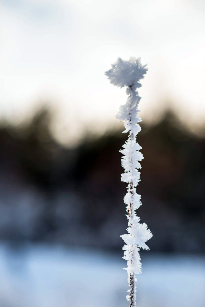 Одиночество