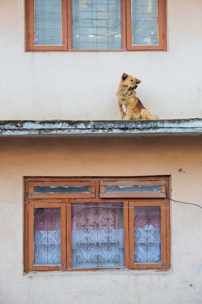 Photograph by Нигматулин Аркадий