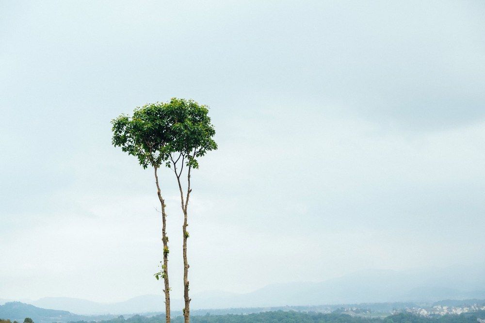 Photograph by Нигматулин Аркадий