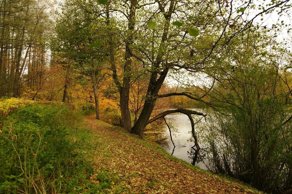Осенний берег