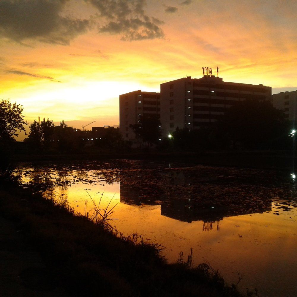 Light of Dusk