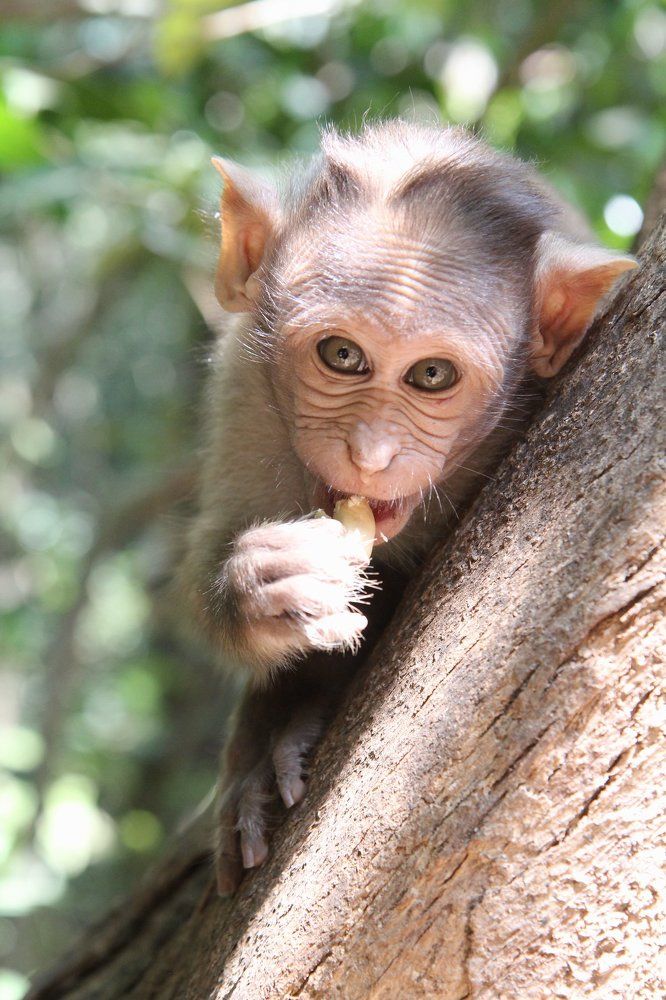 Photograph by Марина Ганина