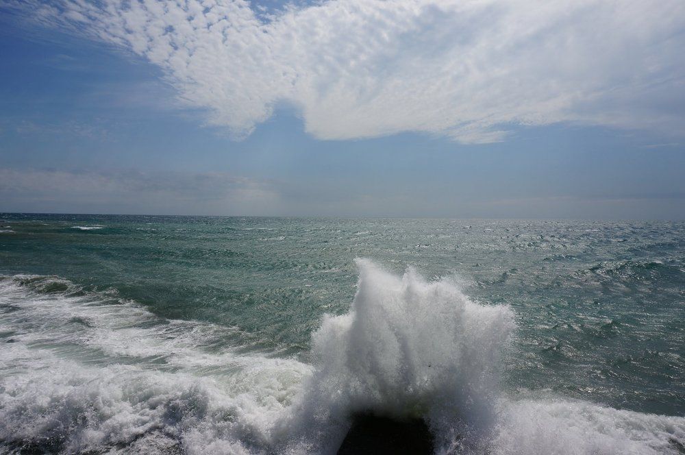 кривые паралели