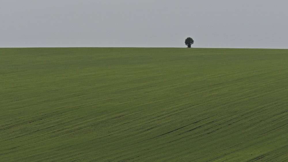 Фотография автора Александр Петаев