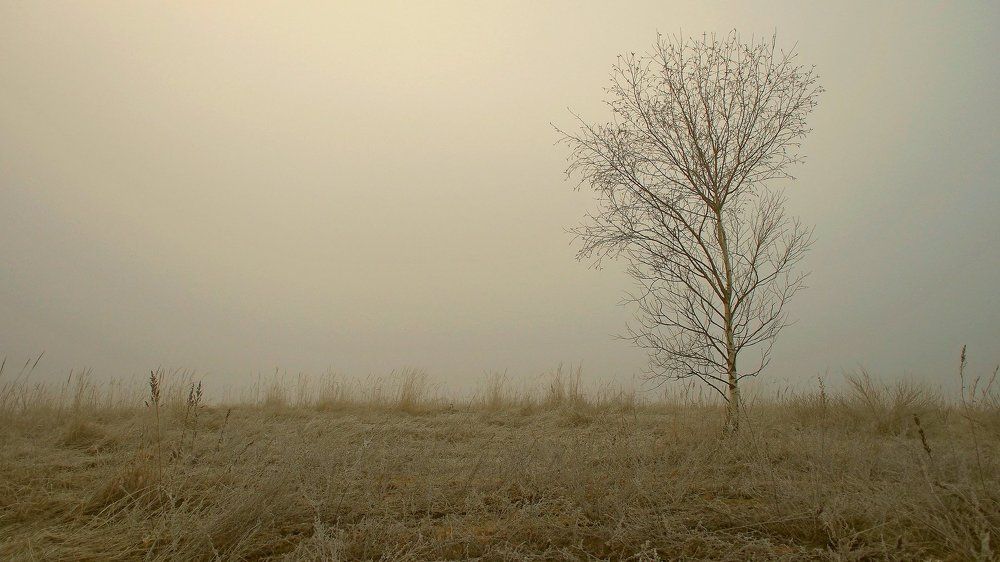 Фотография автора Александр Петаев