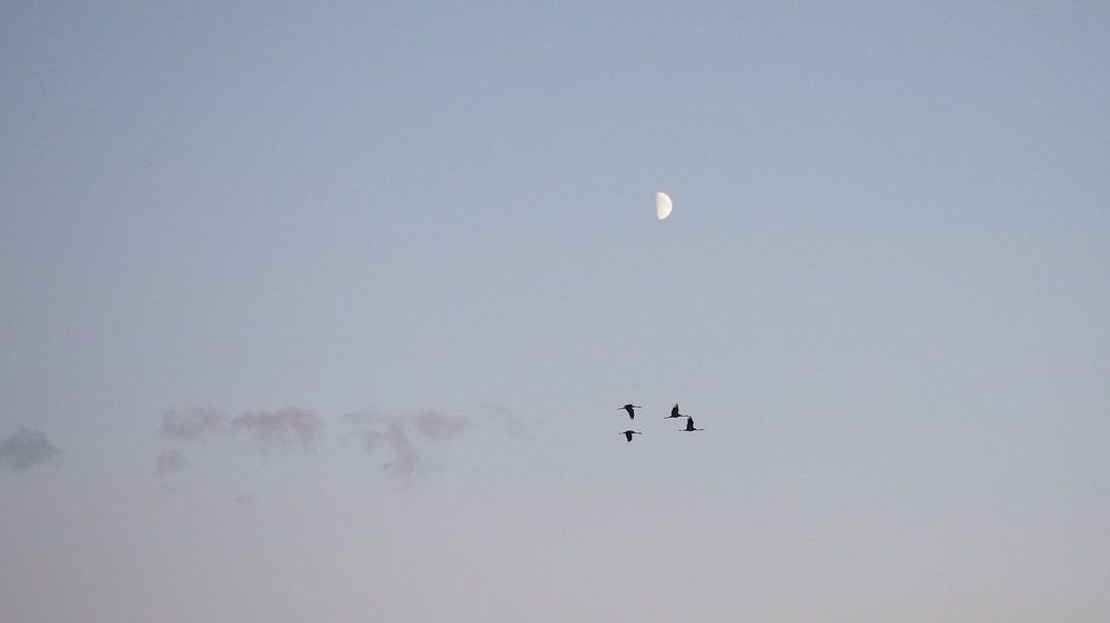 Фотография автора Александр Петаев