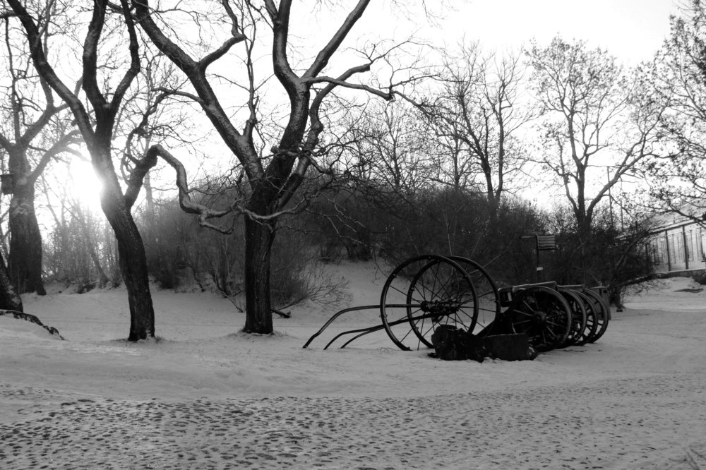 Photograph by Арутюнян Ануш