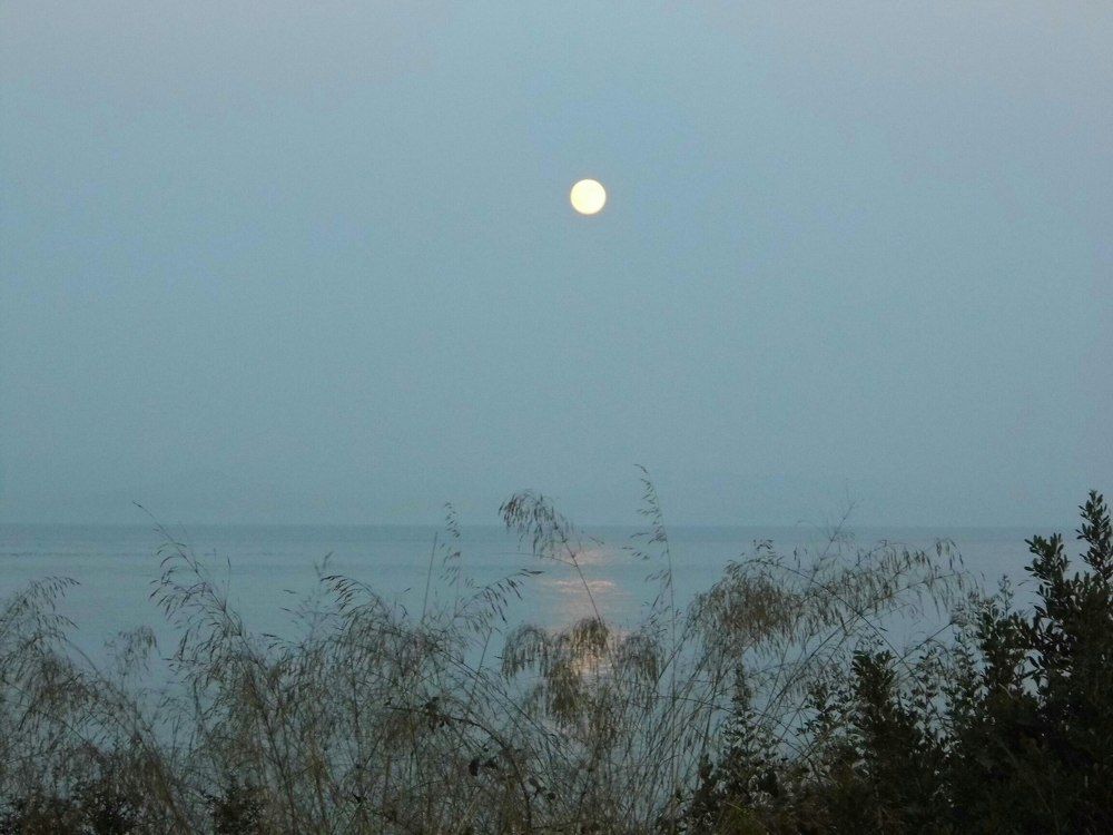 Лунная  дорожка