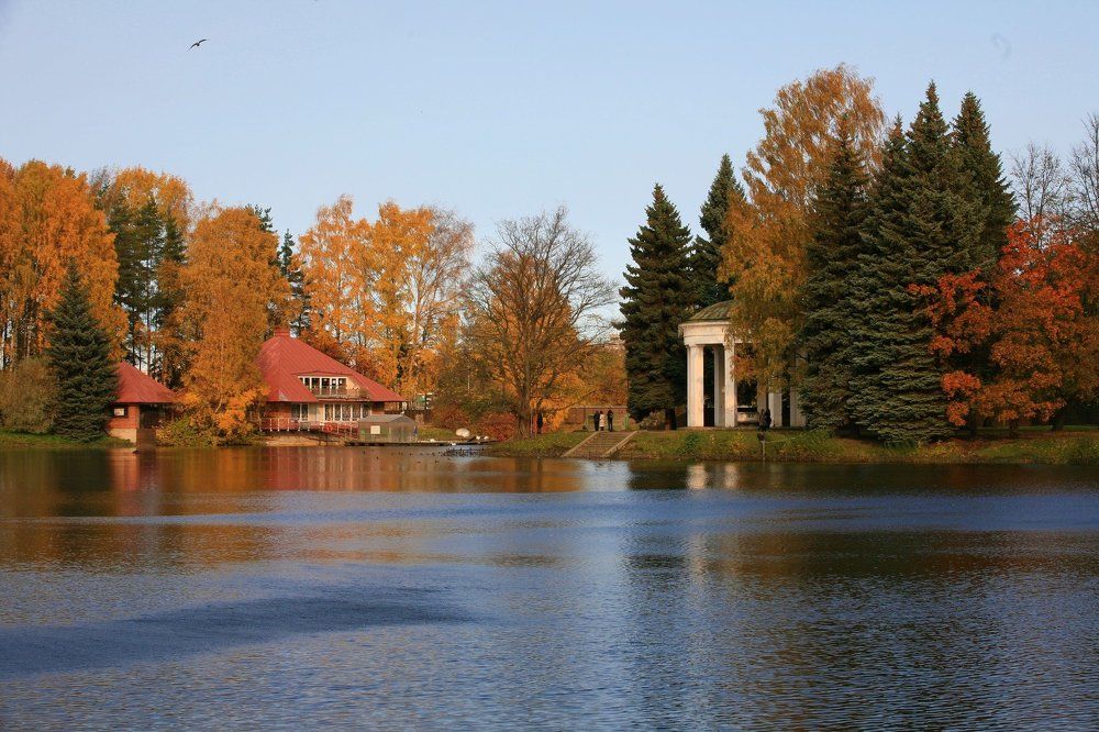 Лебединое озеро , Санкт - Петербург.