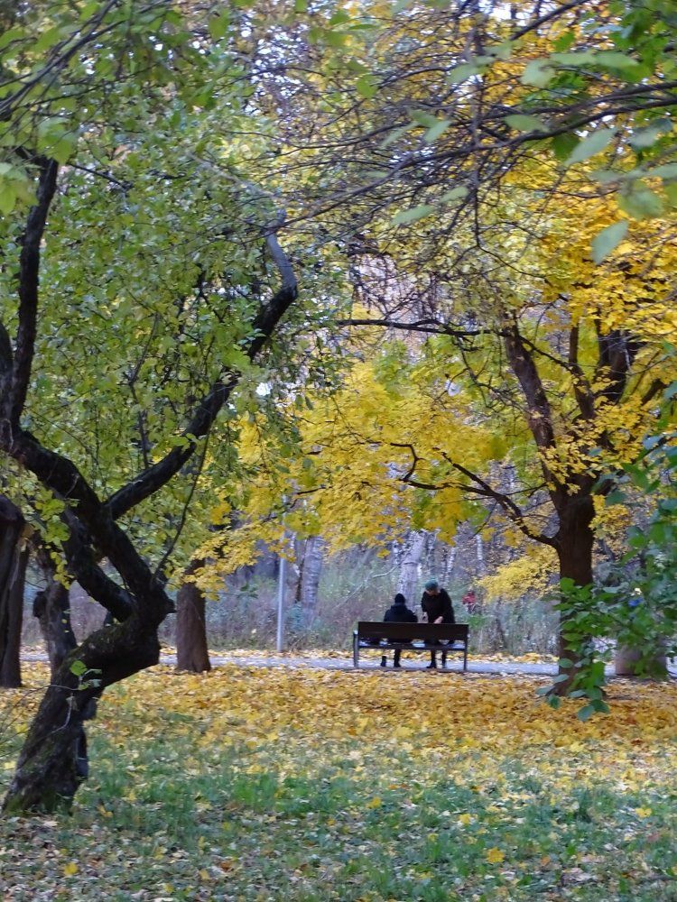 Московский парк