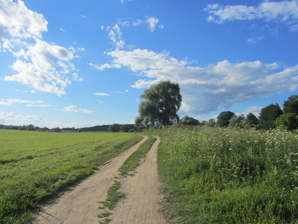 Русское поле