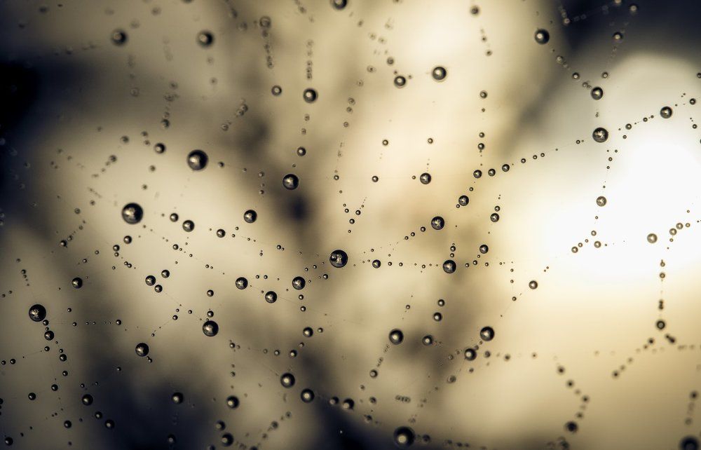 Photograph by Andrey Rut