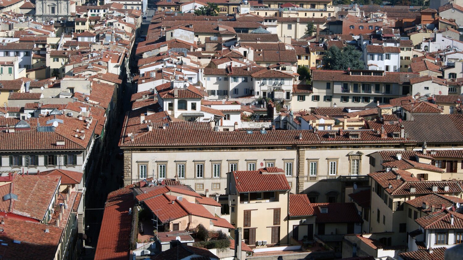 View from Top of Florence