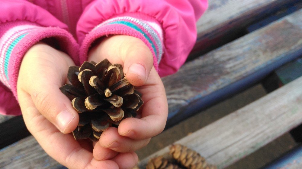 Любимые руки