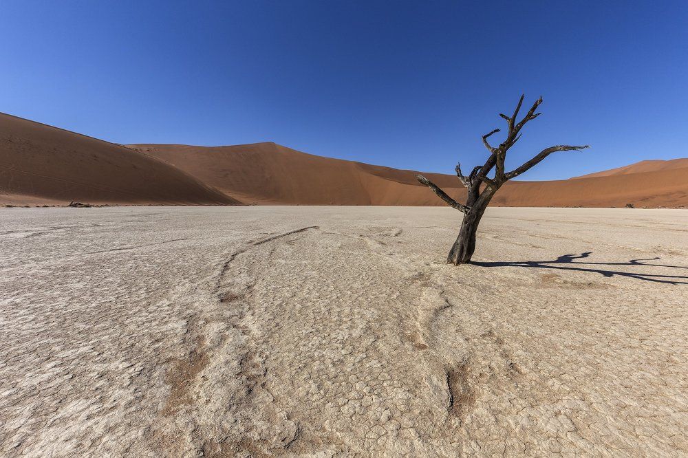Deadvlei Намибия