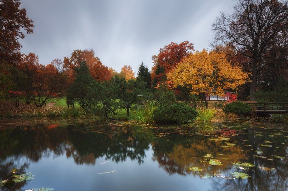 Японский сад