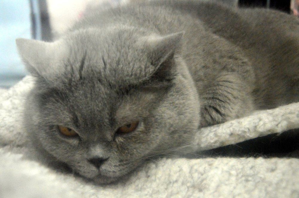 не мешать я думаю...