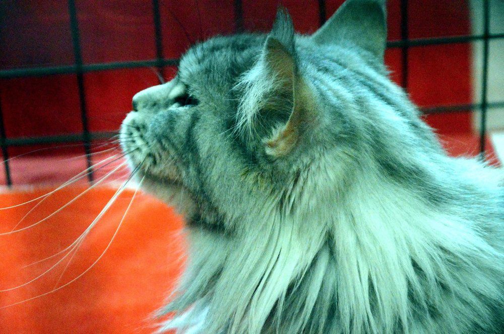 устремлен в будущее