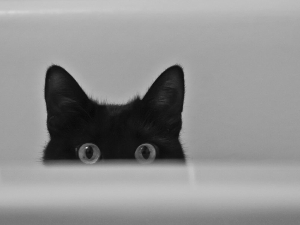Photograph by Юлия Красильникова