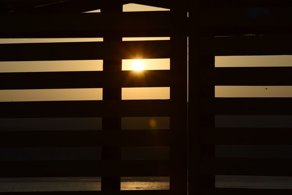 Фотография автора Медведев Сергей