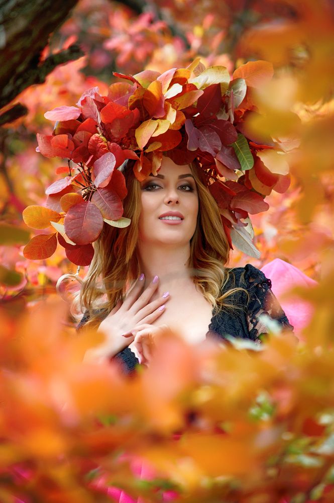 Осенняя сказка.