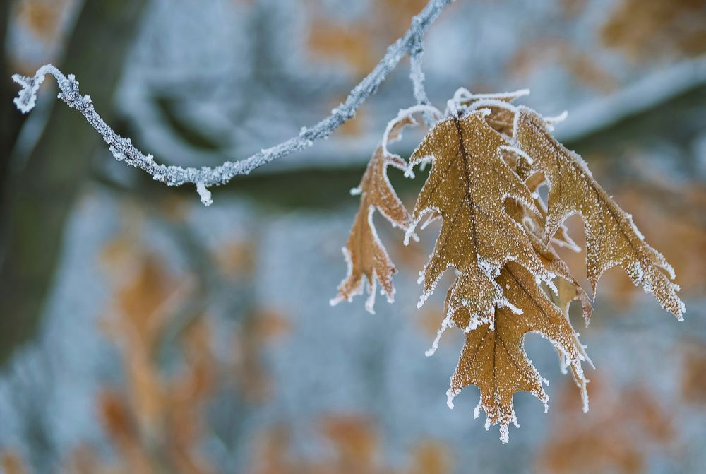 Холодно мне, холодно