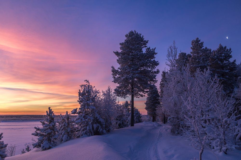 Зимние рассветы