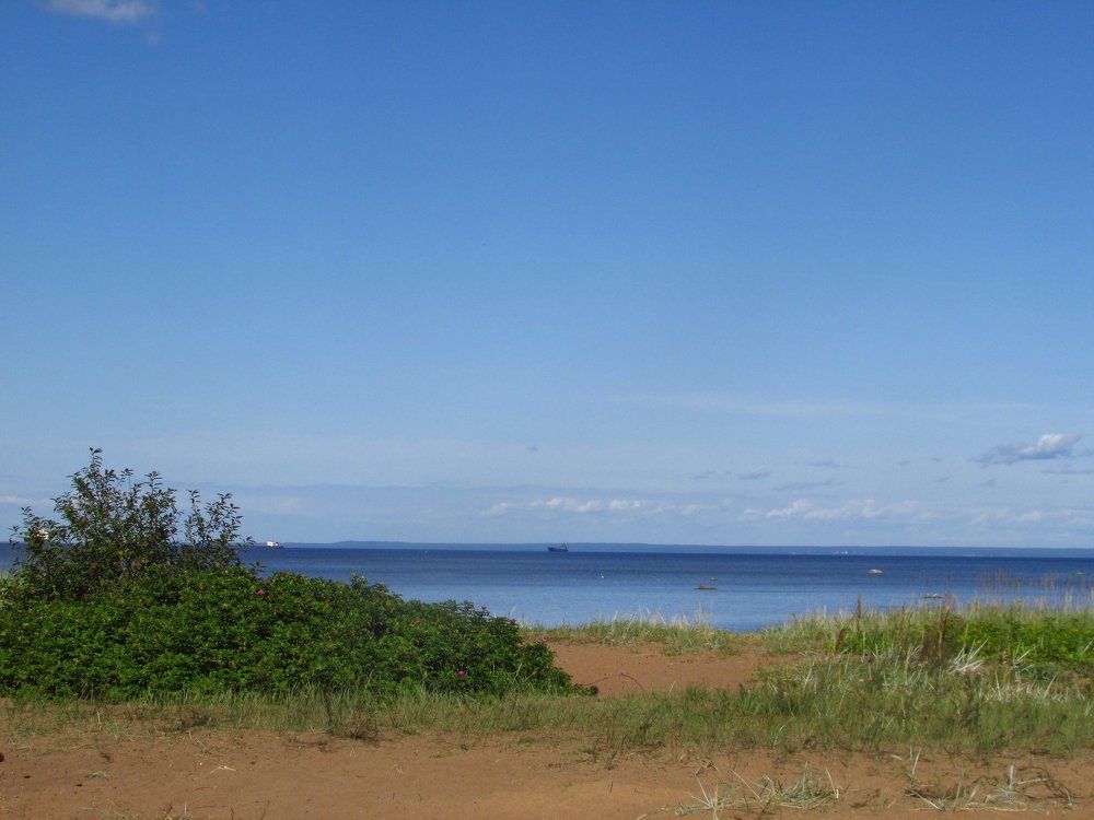 На берегу Финского залива