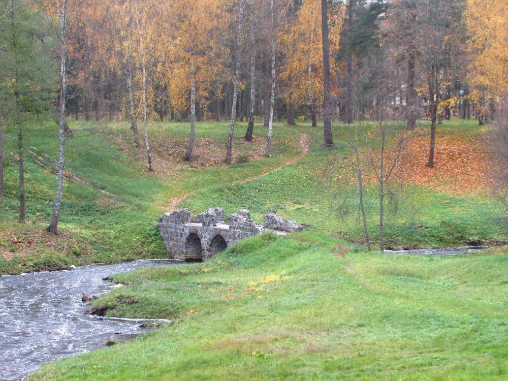 В старом парке