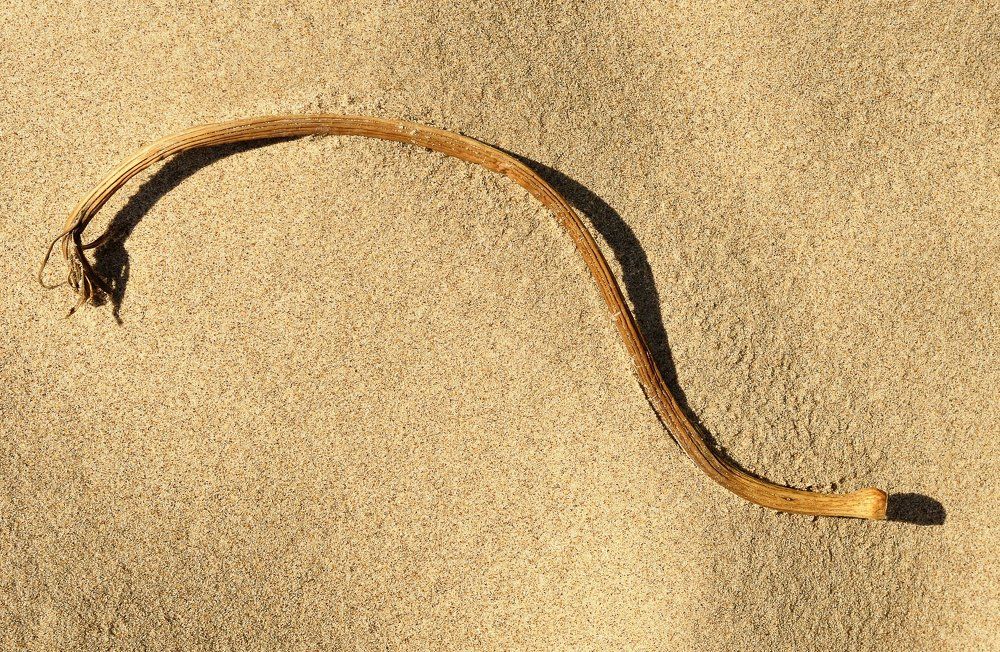 ПАЛОЧКА НА ПЕСКЕ