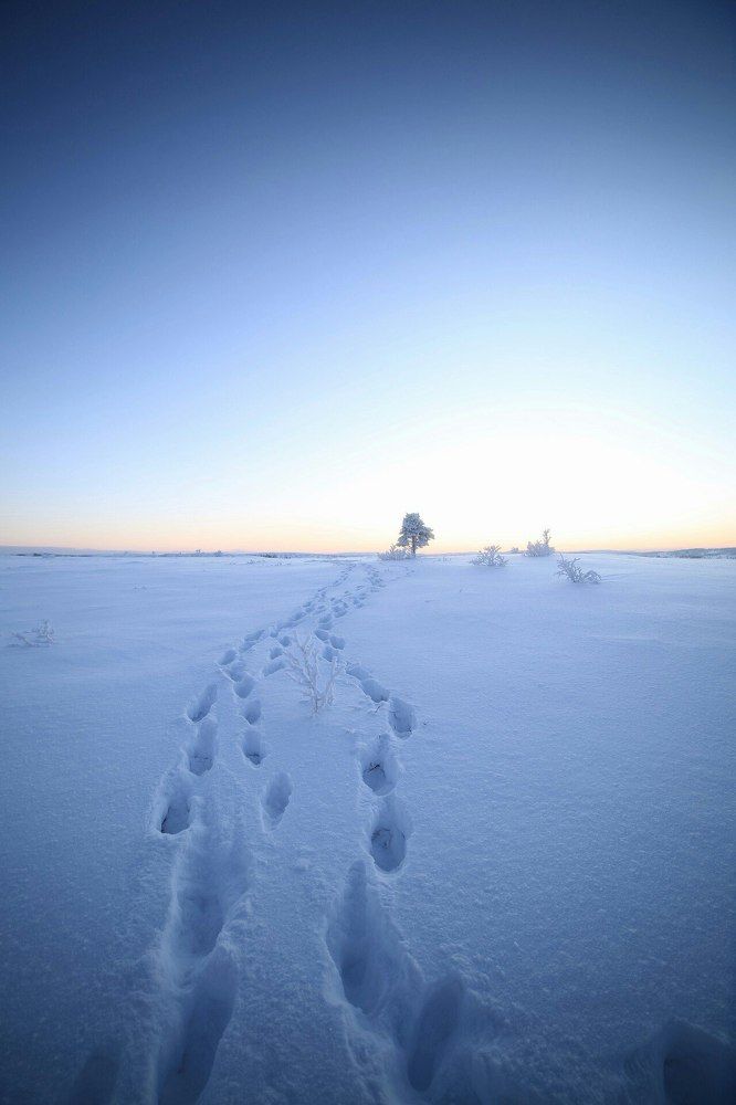 Путь к размышлению
