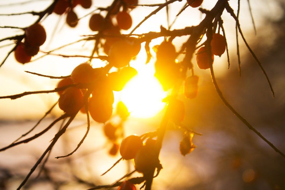 красное и желтое